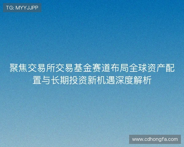聚焦交易所交易基金赛道布局全球资产配置与长期投资新机遇深度解析